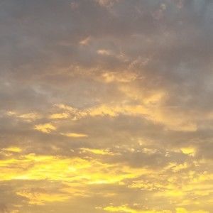 Meet your Posher, Reavis